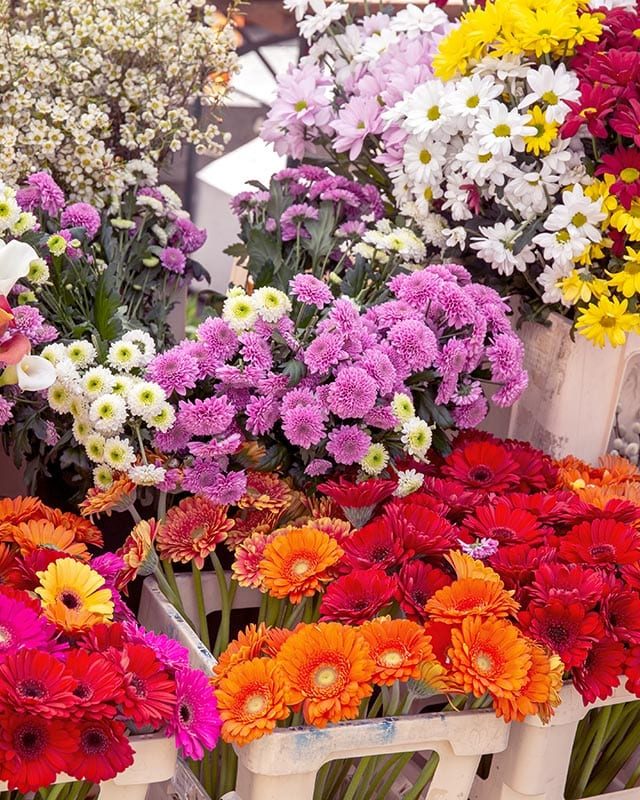 flores-por-mayor-arreglos-florales-floresinbox